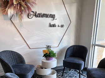 Harmony Hair & Co