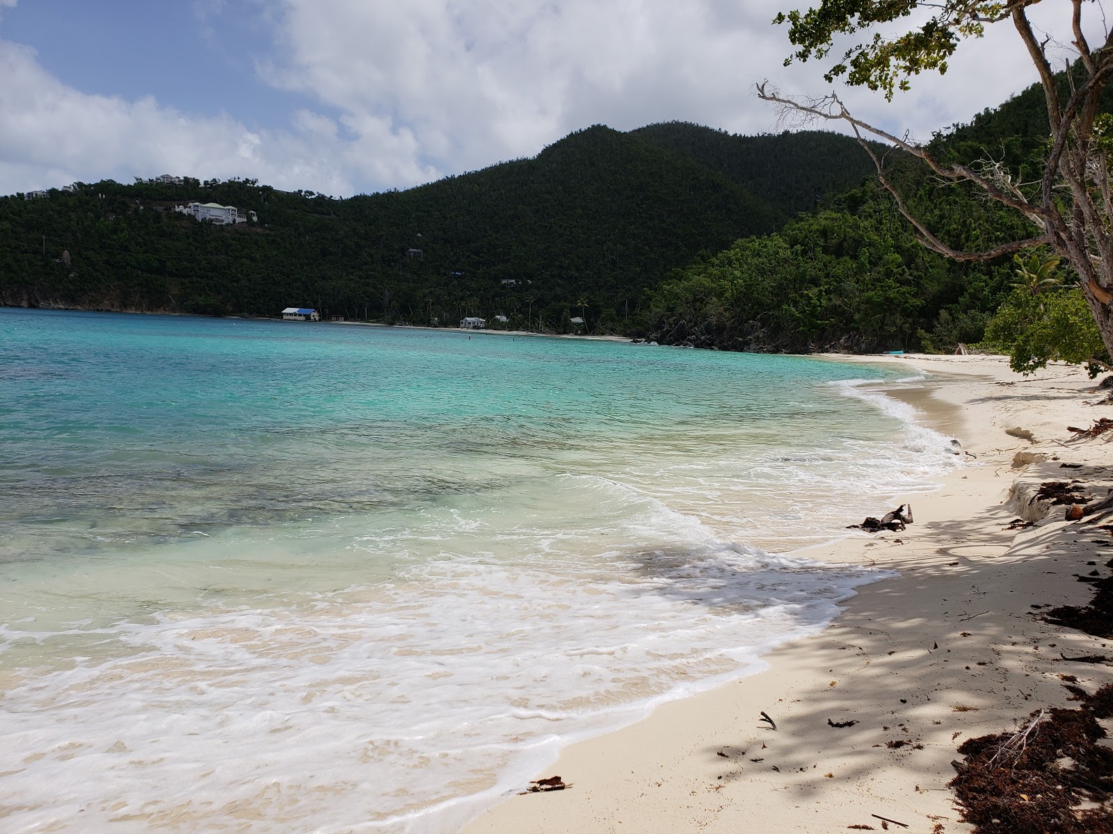 Hawksnest beach photo #8