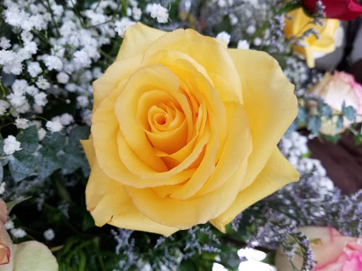 Florist «Angels Floral & Gifts, Inc.», reviews and photos, 5386 Steubenville Pike, McKees Rocks, PA 15136, USA