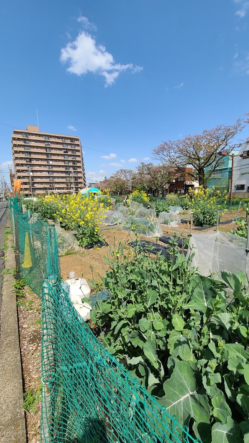 シェア畑 東武練馬