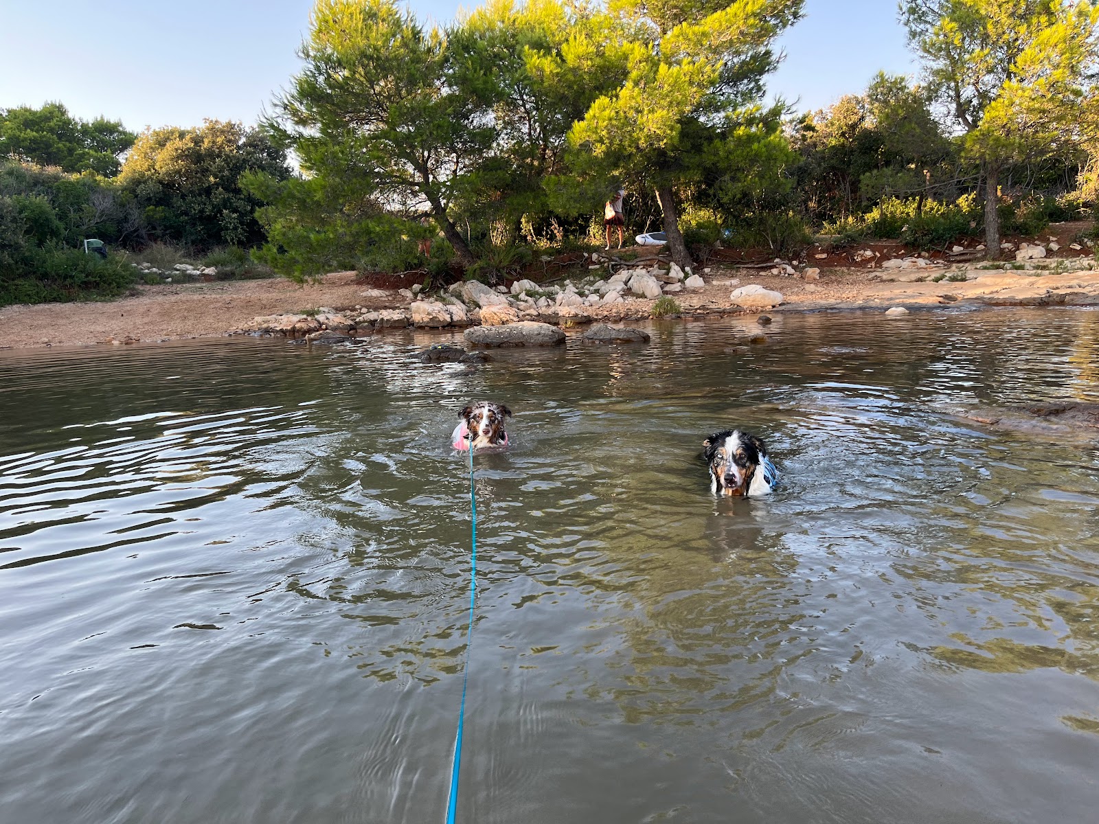 Foto von Dog Beach Ugljan - guter haustierfreundlicher Ort für den Urlaub