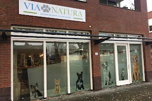 Via Natura, specializing in dog and cat image