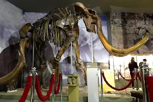 Azovskaya Historic-Archaeological and Paleontological Museum image