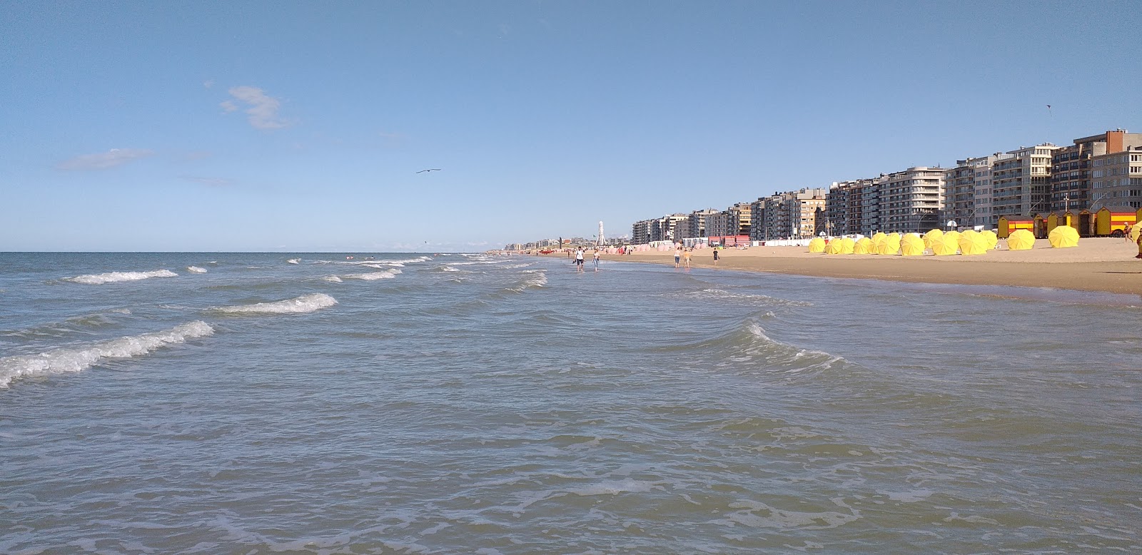 Foto av De Panne Strand strandortområde