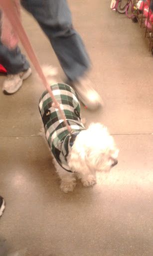 Pet Supply Store «Petco Animal Supplies», reviews and photos, 3430 W State St, Grand Island, NE 68803, USA