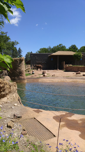 Zoo «Seneca Park Zoo», reviews and photos, 2222 St. Paul Street, Rochester, NY 14621, USA