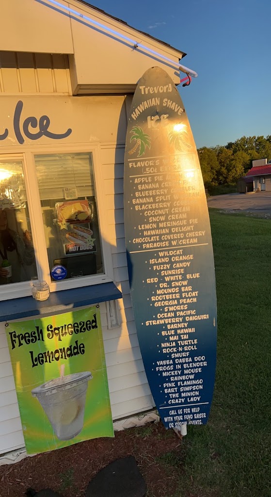 Hawaiian Shaved Ice 42141