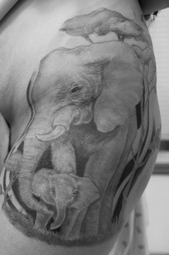 Explore ac dc tattoo ideas, creative tattoo ideas in Reno, available at Stingray Tattoo supplies