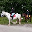 Paardrijden op Schiermonnikoog