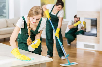 Pina Cleaning Services