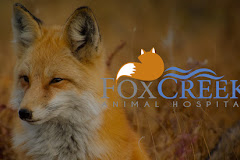 Fox Creek Animal Hospital