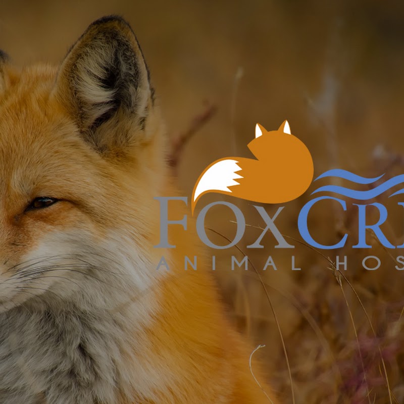 Fox Creek Animal Hospital