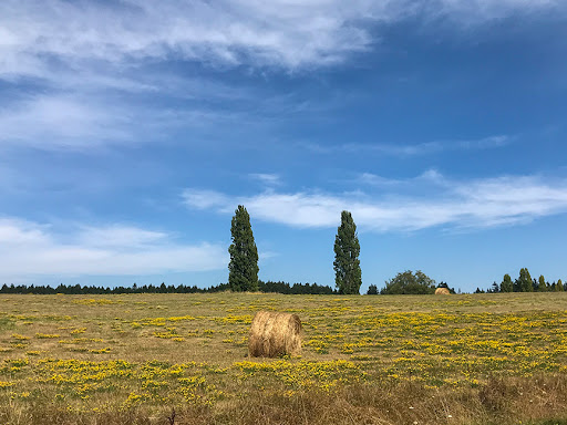 Bicycle Store «Meat Machine Cycles», reviews and photos, 22 Web St, Friday Harbor, WA 98250, USA
