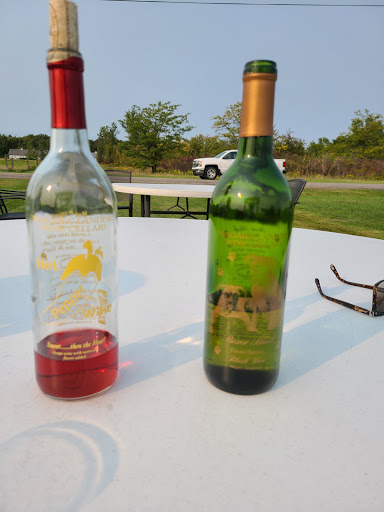 Winery «Niagara Landing Wine Cellars», reviews and photos, 4434 Van Dusen Rd, Lockport, NY 14094, USA