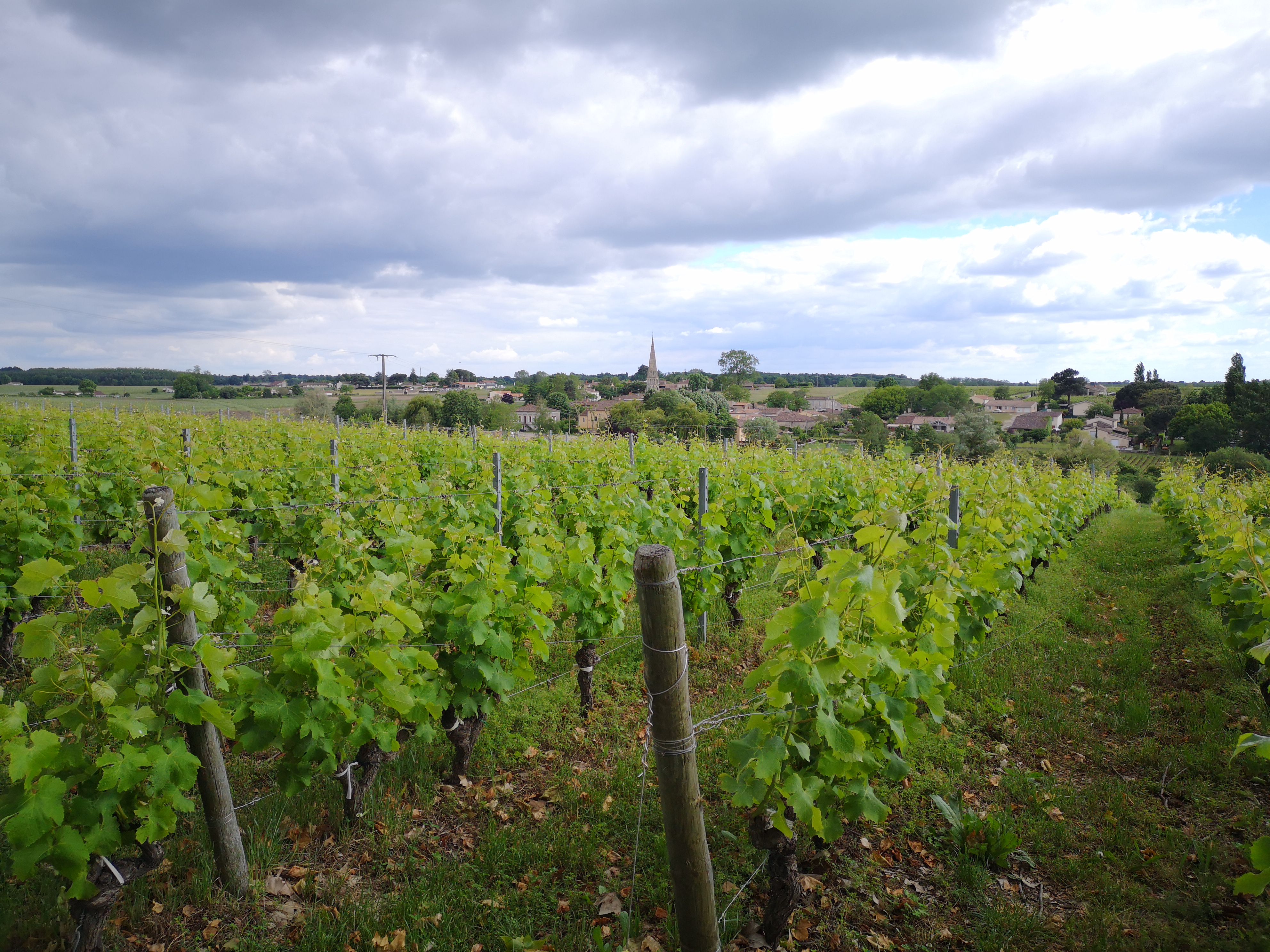 Photo n° 3 de l'avis de Renyu.U fait le 25/05/2019 à 17:13