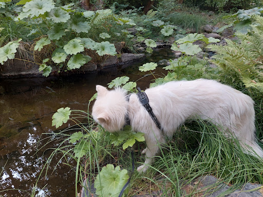 Pet Supply Store «PetSmart», reviews and photos, 10830 Olson Dr, Rancho Cordova, CA 95670, USA