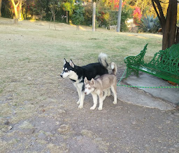 Parque Antequera photo