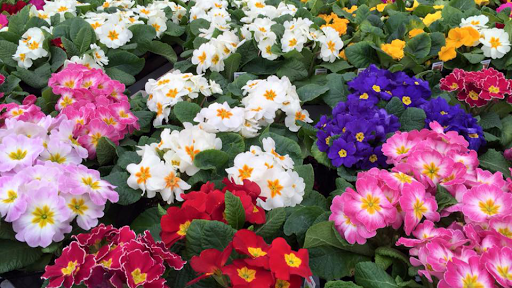 Hardware Store «Johnsons Home & Garden», reviews and photos, 26625 Maple Valley Black Diamond Rd SE, Maple Valley, WA 98038, USA