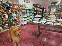 Woof Gang Bakery & Grooming Glen Rock - Photo 1 - Car repair in Glen Rock, NJ, Paterson