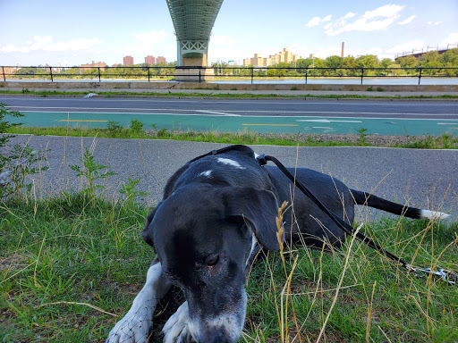 Park «Astoria Park», reviews and photos, 19 19th St, Queens, NY 11105, USA