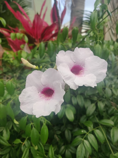 Event Venue «The Temple House», reviews and photos, 1415 Euclid Ave, Miami Beach, FL 33139, USA