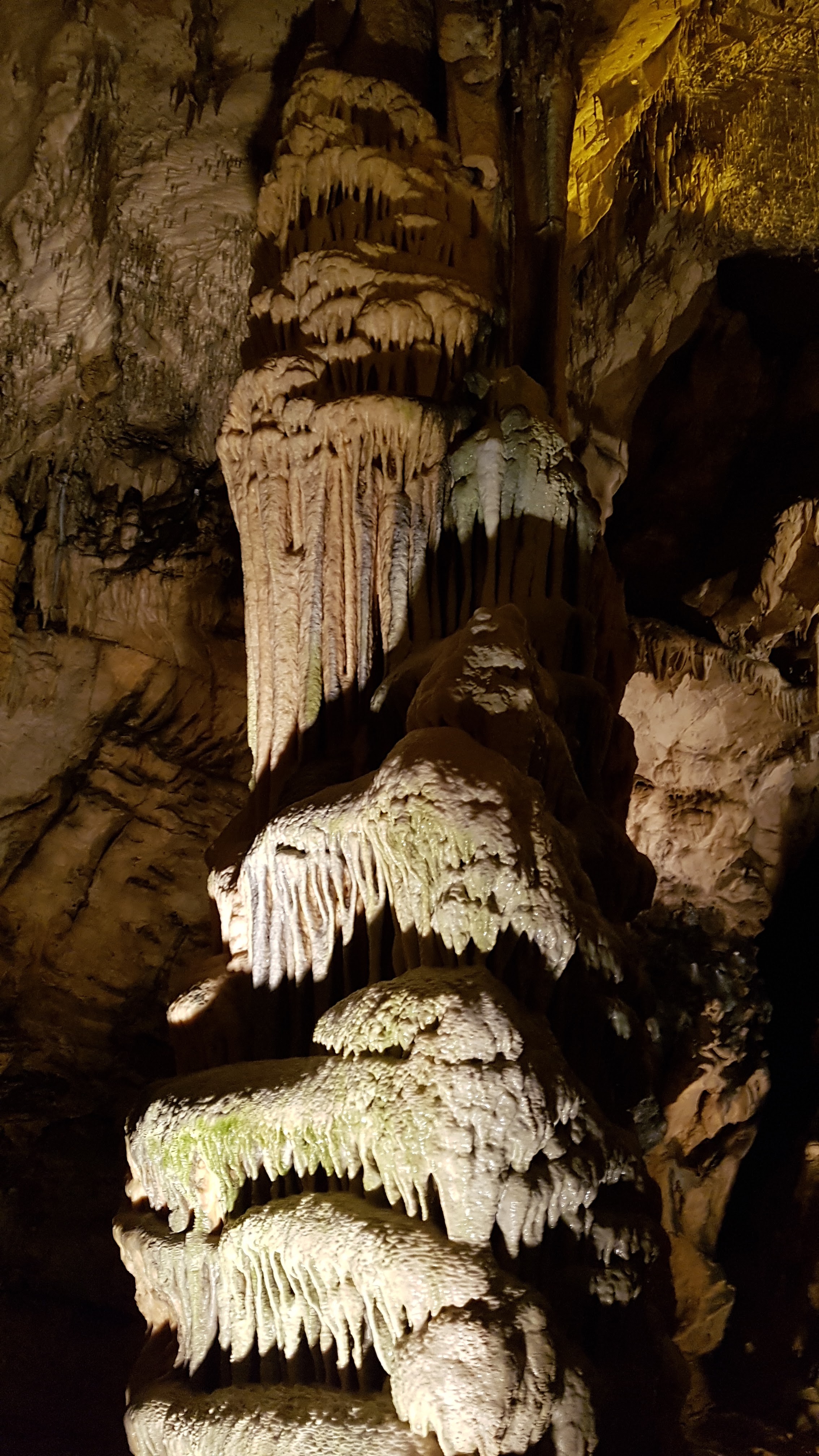 Photo n° 30 de l'avis de delphine.l fait le 25/08/2018 à 12:52