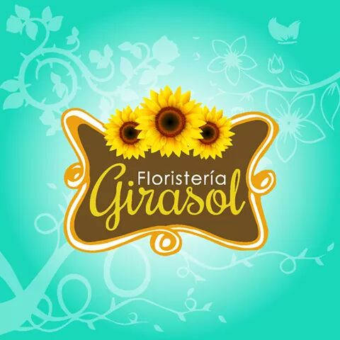 Opiniones de Floreria El Girasol en Babahoyo - Floristería