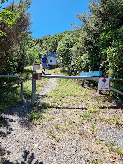 Ferry Road Track - East Harbour Regional Park