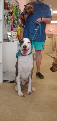 Pet Groomer «Furry Tails Pet Grooming», reviews and photos, 865 Cypress Pkwy, Poinciana, FL 34759, USA