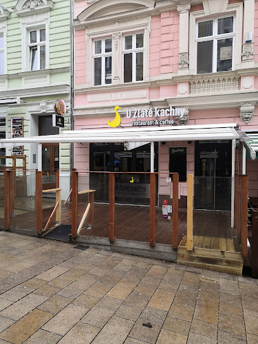 U Zlaté kachny "Restaurant & Café" - Karlovy Vary