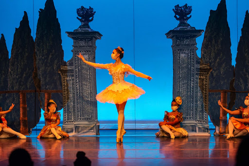 Orlando Metropolitan Ballet Academy