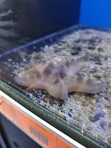 Tropical Fish Store «Richmond Aquarium», reviews and photos, 3645 Speeks Dr, Midlothian, VA 23112, USA