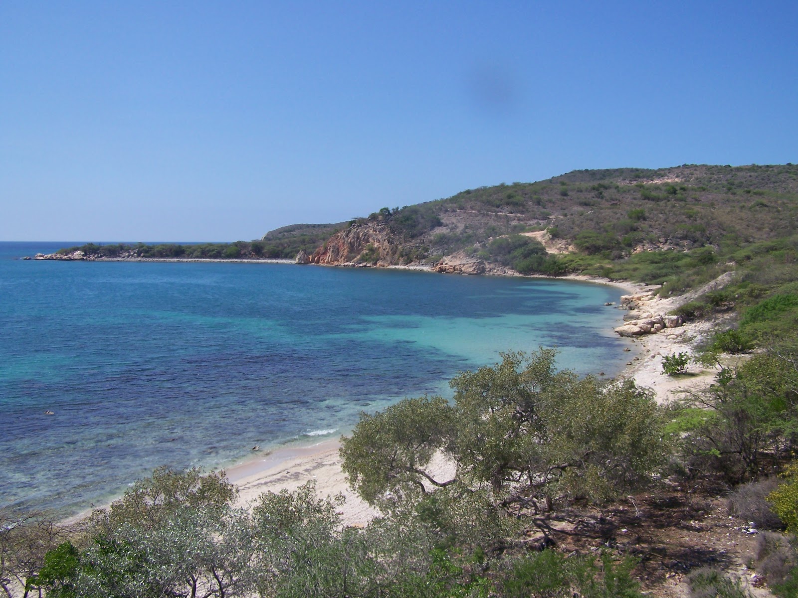 Uvita beach的照片 带有碧绿色纯水表面