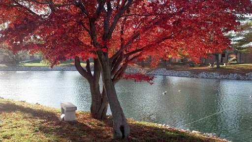Funeral Home «Flanner and Buchanan Funeral Center - Washington Park East», reviews and photos, 10722 E Washington St, Indianapolis, IN 46229, USA
