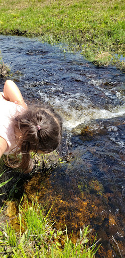 State Park «Hopkinton State Park», reviews and photos, 164 Cedar St, Hopkinton, MA 01748, USA