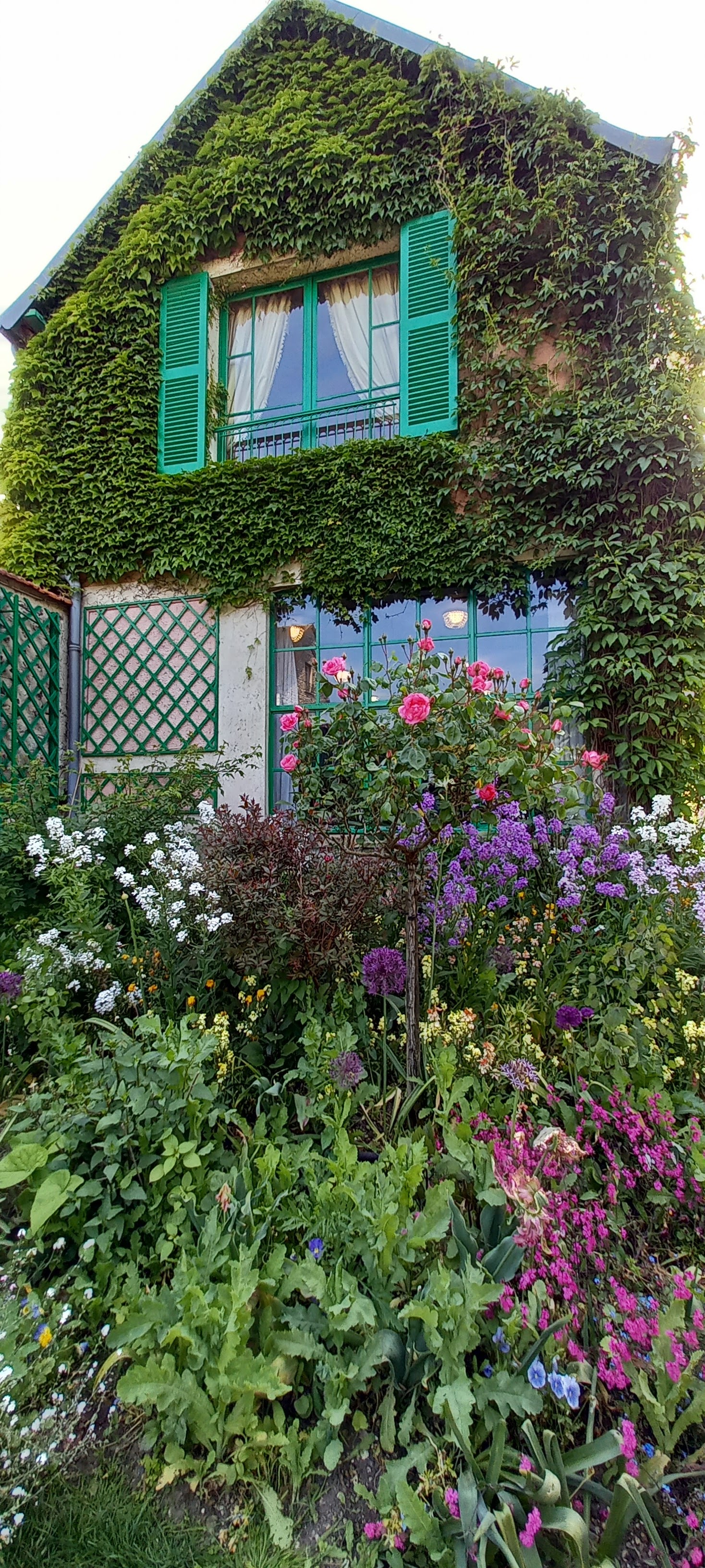 Photo n° 2 de l'avis de Gweyvan.r fait le 21/05/2023 à 19:47