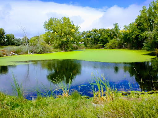 Golf Course «Valley Hi Golf Course», reviews and photos, 610 Chelton Rd, Colorado Springs, CO 80910, USA