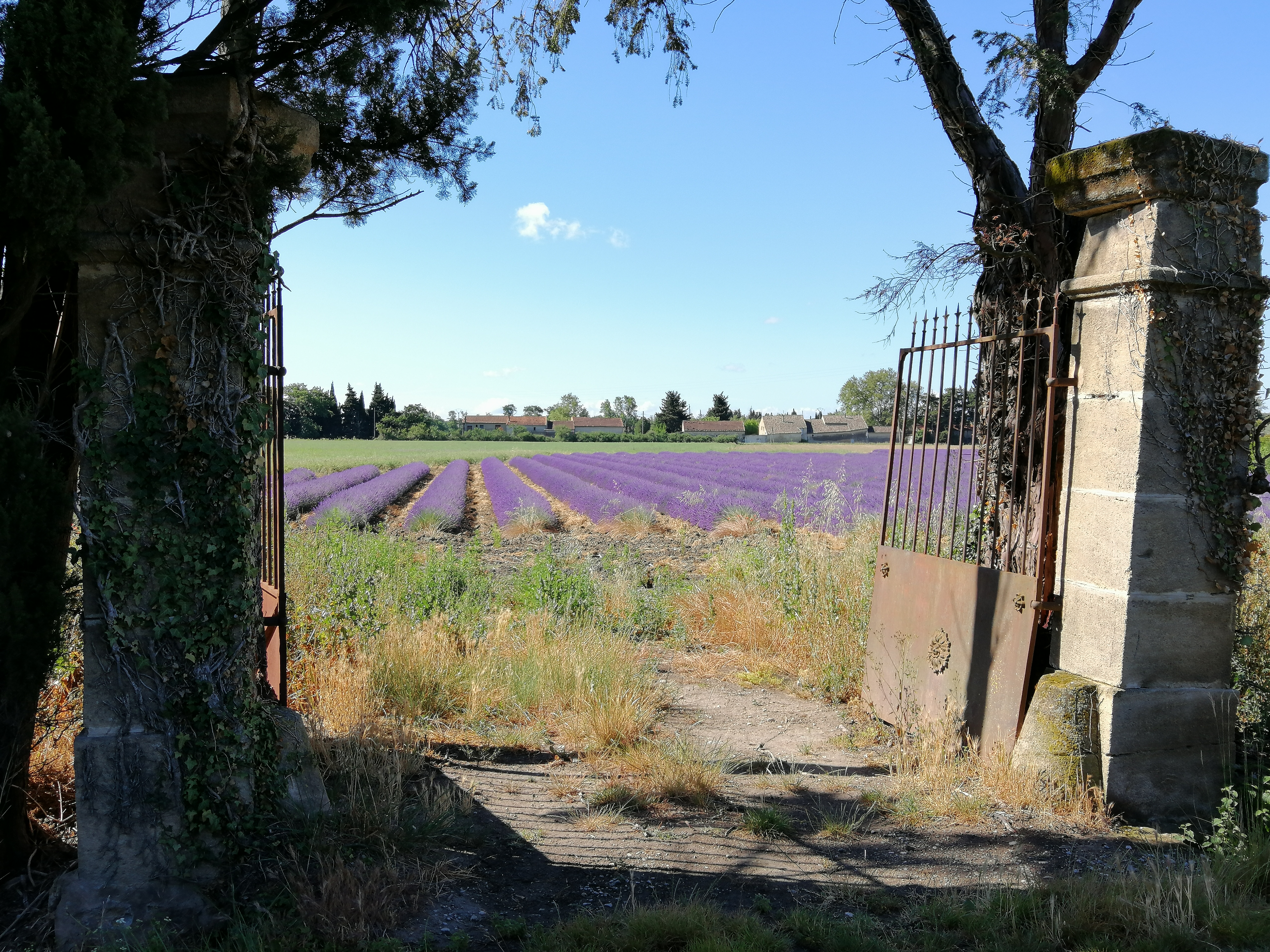 Photo n° 5 de l'avis de Edgar.b fait le 19/07/2019 à 11:22