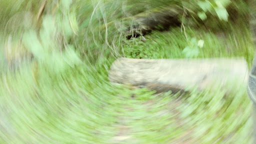 Park «Barton Park», reviews and photos, 19009 SE Barton Park Rd, Boring, OR 97009, USA