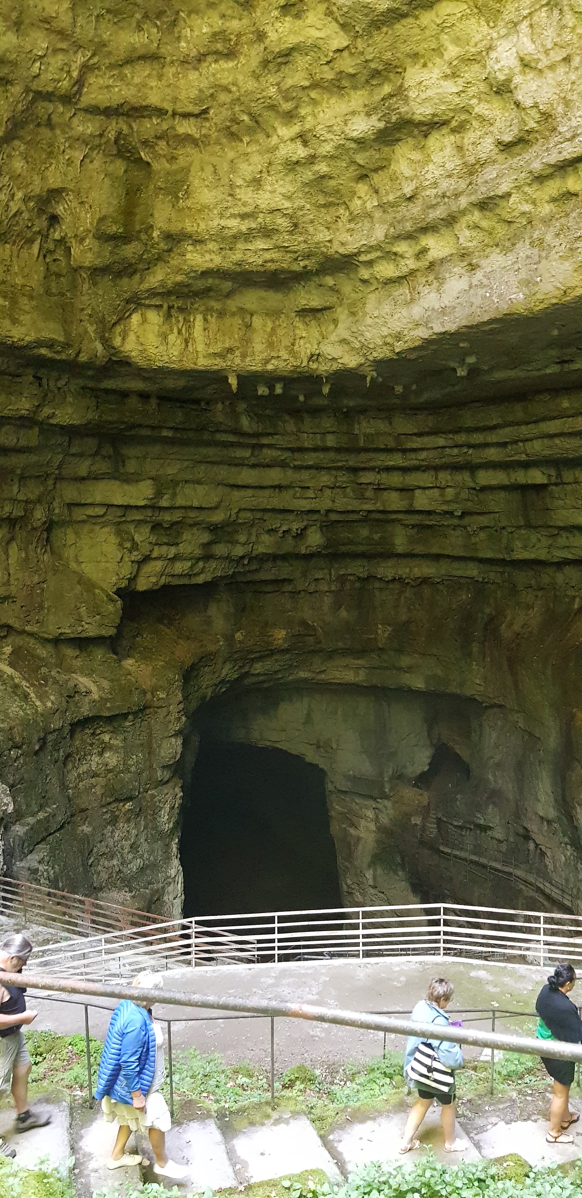 Photo n° 6 de l'avis de Papato.r fait le 04/08/2019 à 14:16