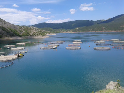 Alpoğlu Almus Barajı Alabalık Tesisi