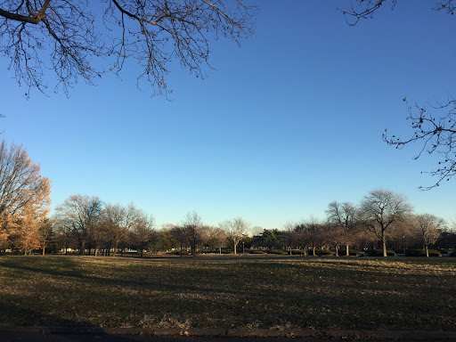 Statue «Freedom of the Human Spirit», reviews and photos, Avenue of the States, Corona, NY 11368, USA