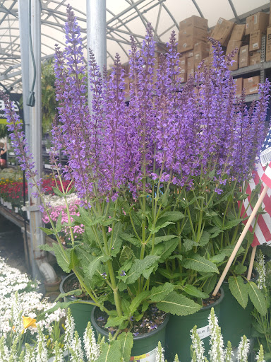 Home Improvement Store «The Home Depot», reviews and photos, 1213 VFW Pkwy, West Roxbury, MA 02132, USA