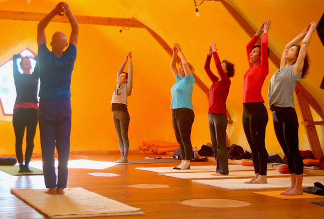 Beoordelingen van Trikon - yogalessen en yoga opleiding in Brugge - Yoga studio