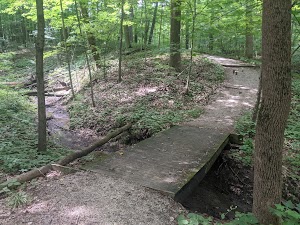 Elliott Woods State Nature Preserve - photo 1