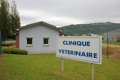 Clinique Vétérinaire Du Bas Bugey à Belley