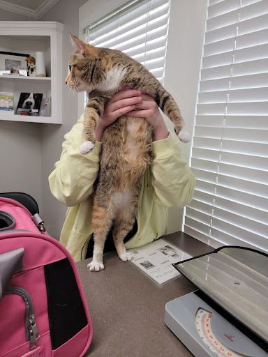 34351 LA-16, Denham Springs, LA 70706, USA