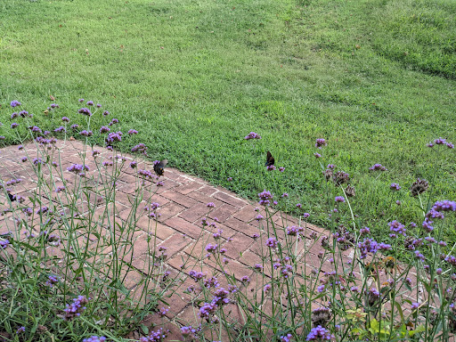 Battle Site «Fort Donelson National Battlefield», reviews and photos, 120 Lock D Rd, Dover, TN 37058, USA