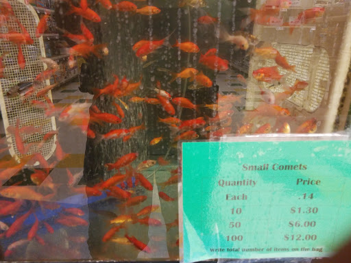 Pet Supply Store «Pet Supplies Plus», reviews and photos, 5161 Gull Rd, Kalamazoo, MI 49048, USA