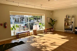 Santokh Yoga & Wellness Center image